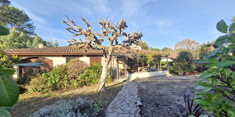 maison à VIELLE ST GIRONS (40560)
